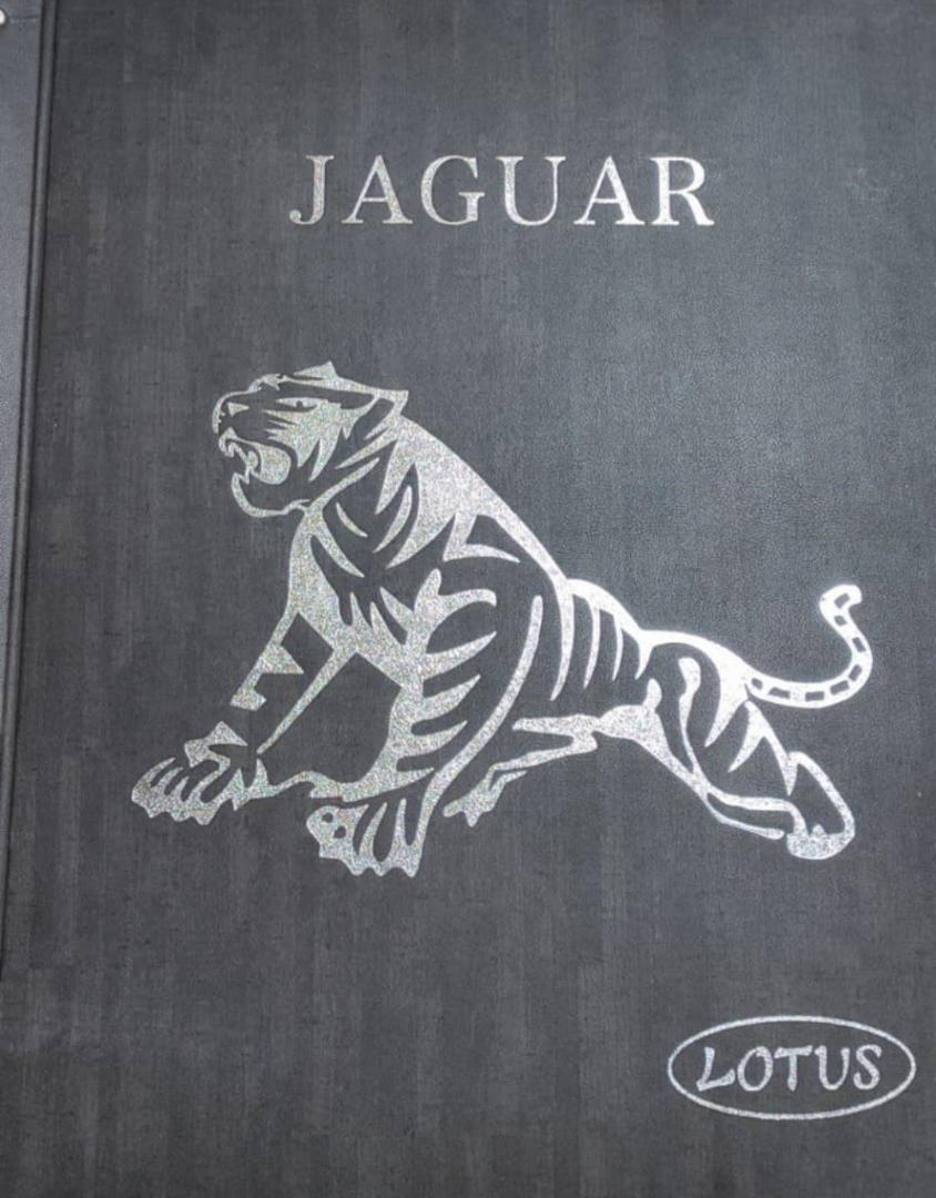 آلبوم کاغذ دیواری جگوار ، کاغذ دیواری JAGUAR